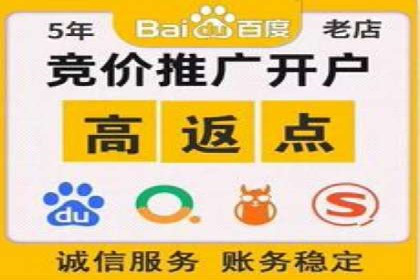 SEM外包服务优势案例分析